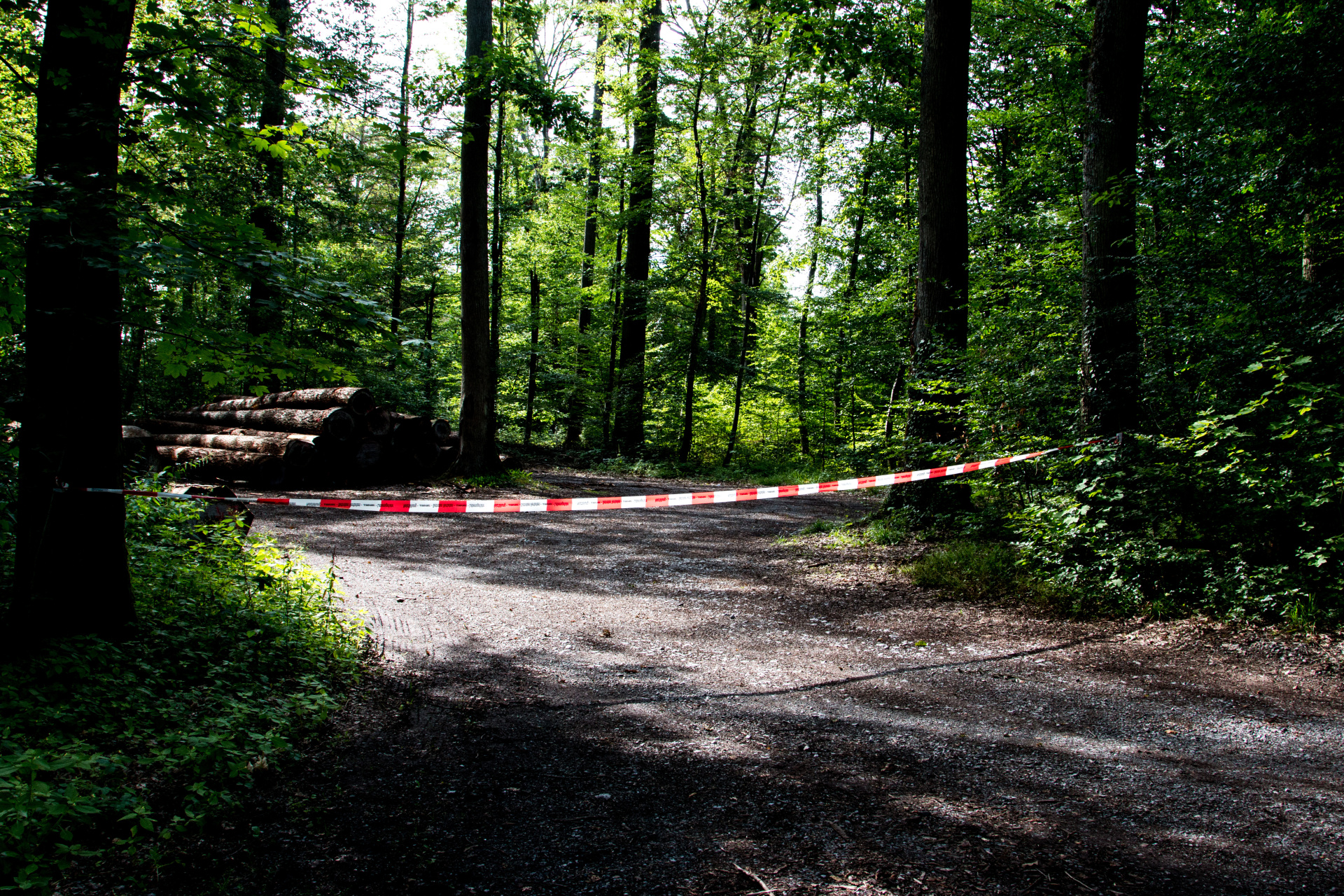 Absperrung eines Tatortes im Wald