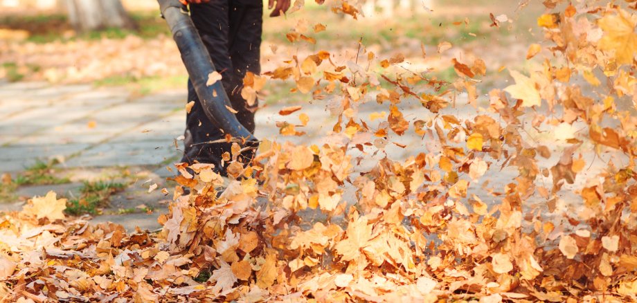Worker in uniform is cleaning falling leaves on city street in autumn