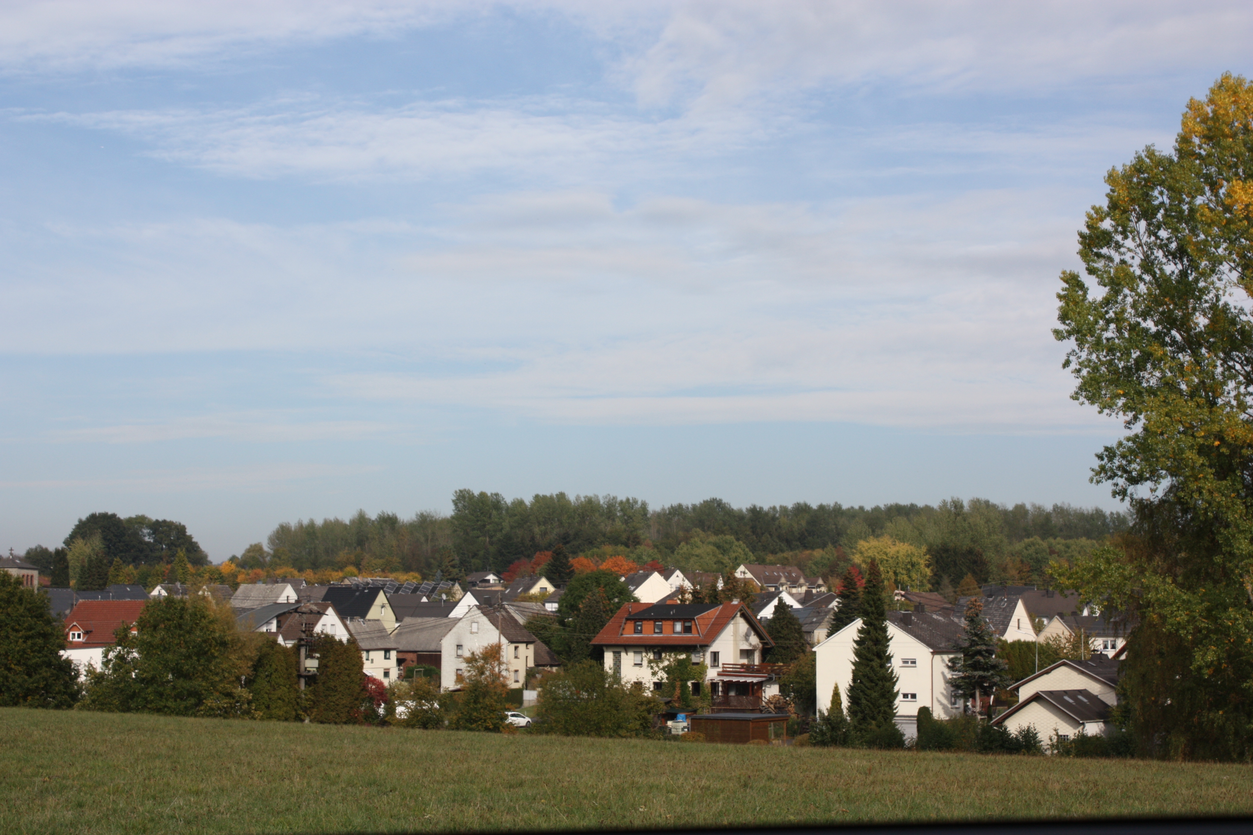 Wenn sie fragen zu den befreiungsvoraussetzungen oder allgemein zur rundfunkbeitragspflicht. Rundfunkbeitragspflicht Unternehmen : 04.03.2021 Erneuerung Zaun und Hecke Friedhof | Startseite