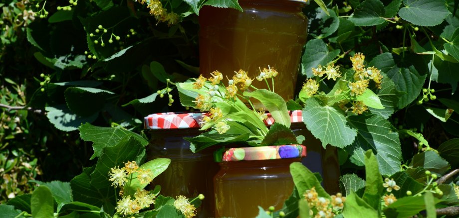 Lindenblüten-Gelee