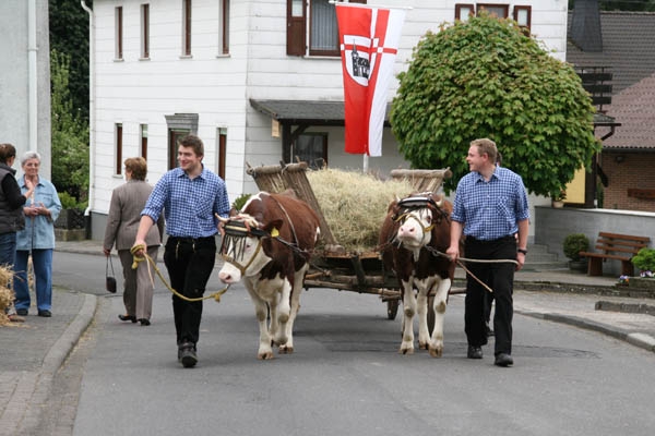 Markttreiben