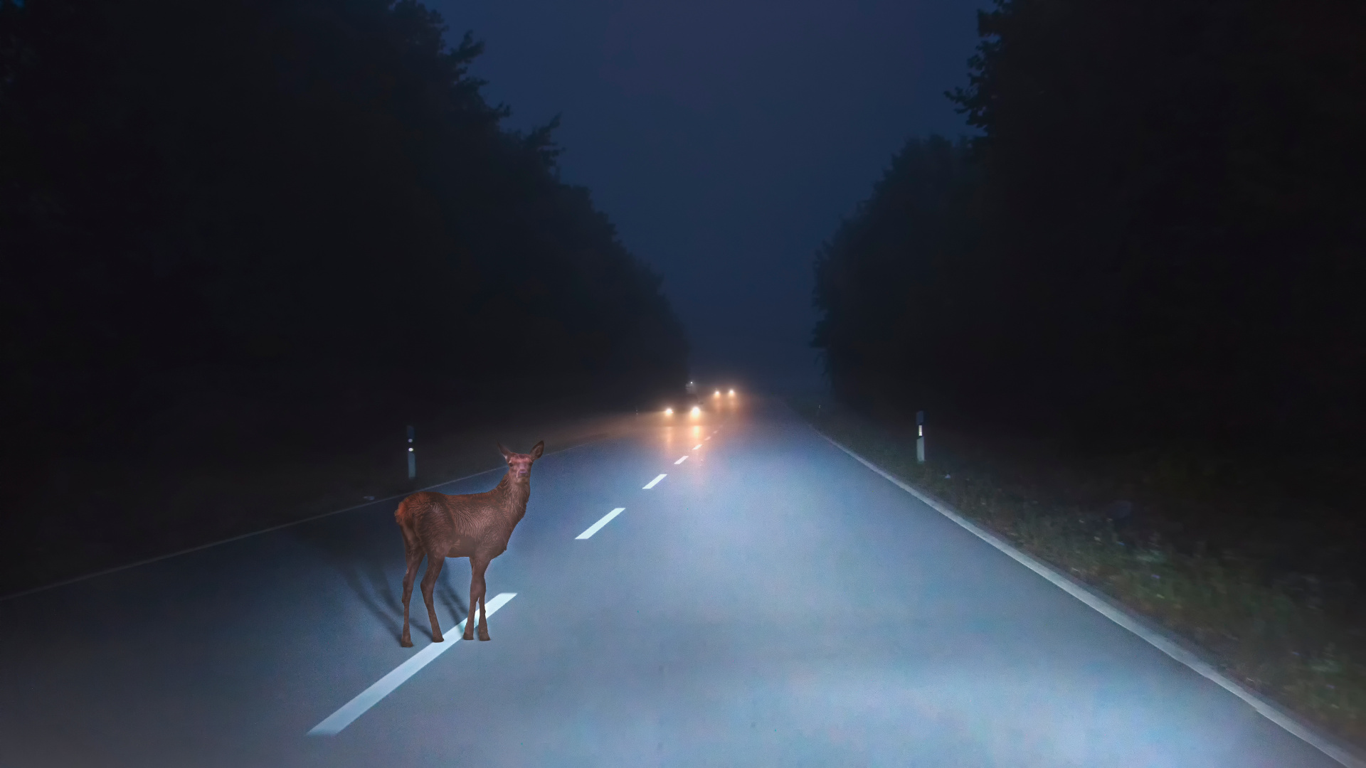 a deer crosses a street at dusk