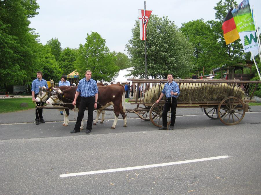 Heutransport