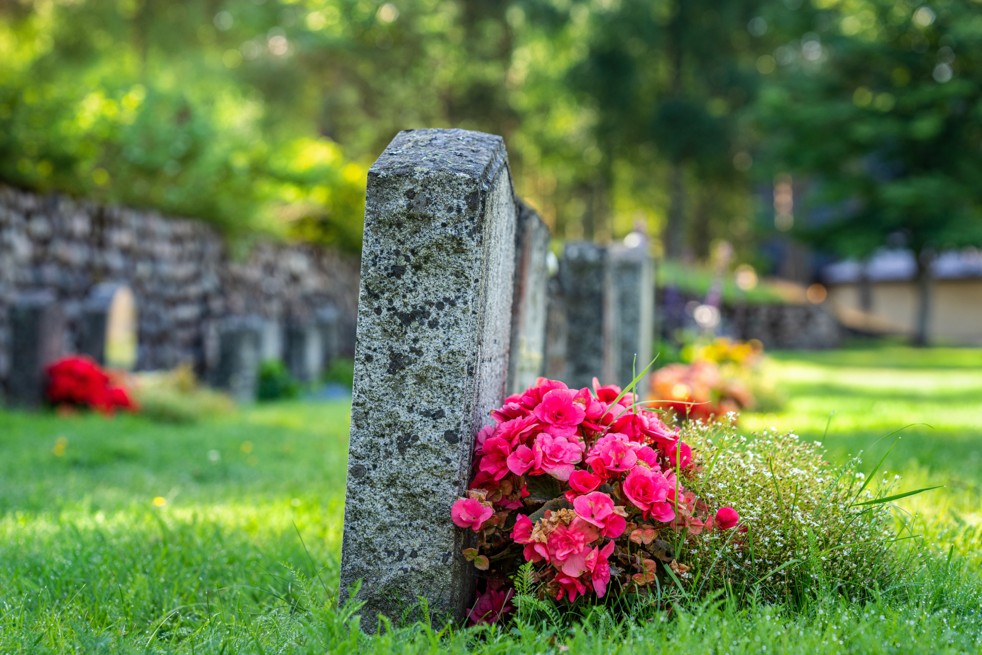 Row of grave stones with flowers at a cemetery in Sweden