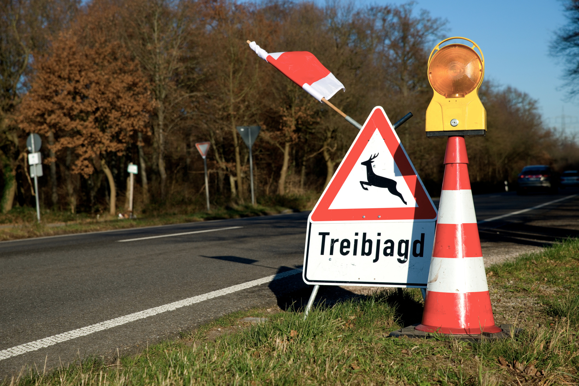 Treibjagd