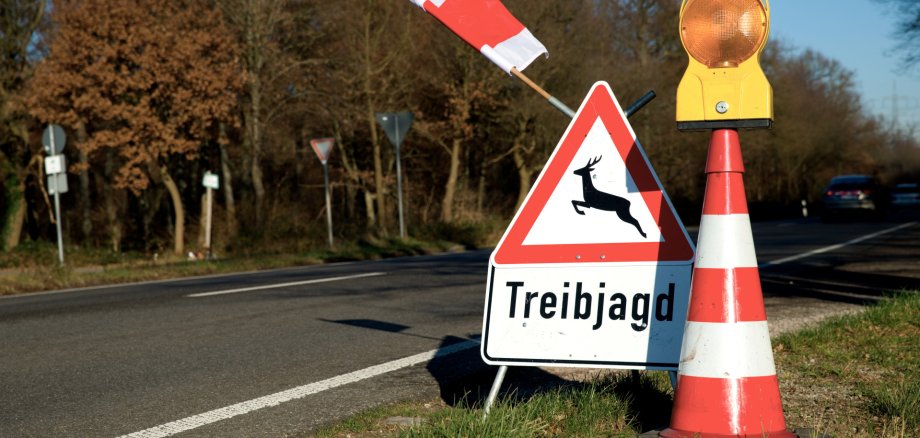 Treibjagd Treibjagd