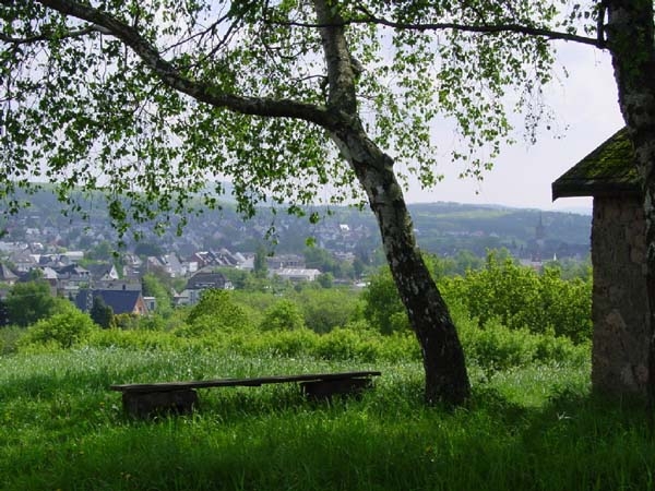 Blick vom Berg auf Siershahn