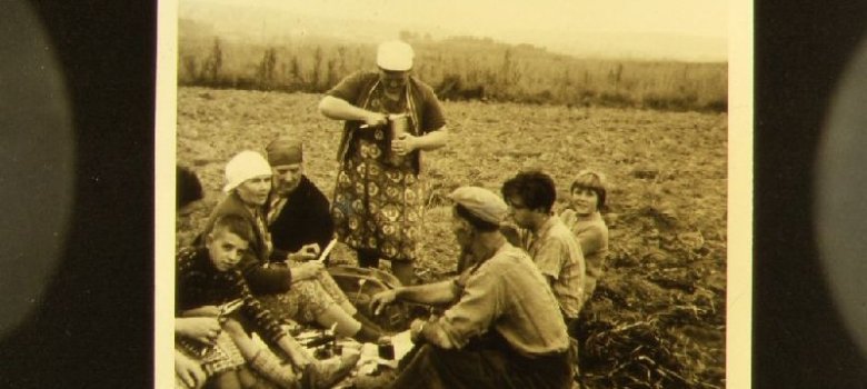 Brotzeit bei der Kartoffelernte