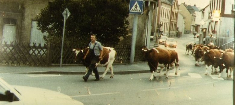 Der letzte Milchviehbauer Siershahns