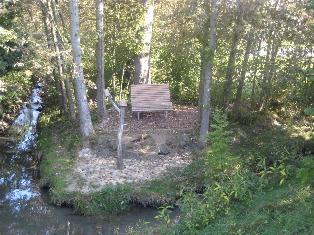 Sitzgelegenheit im Wald