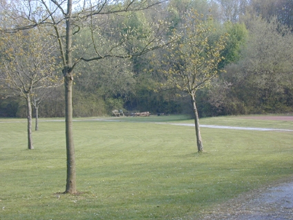 Erbsengarten Staudt.jpg