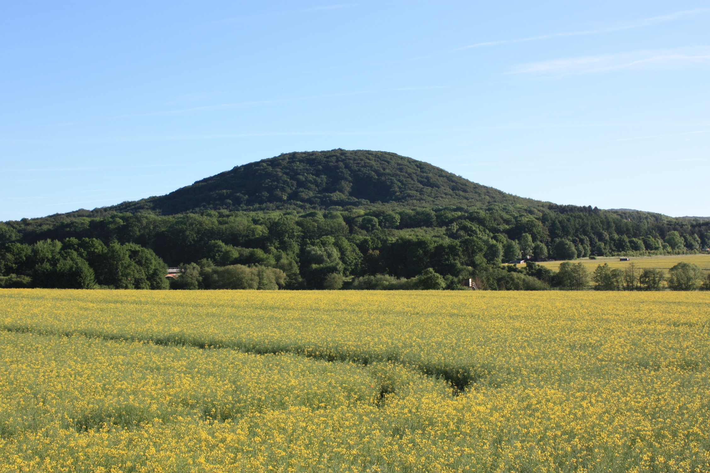 Malberg