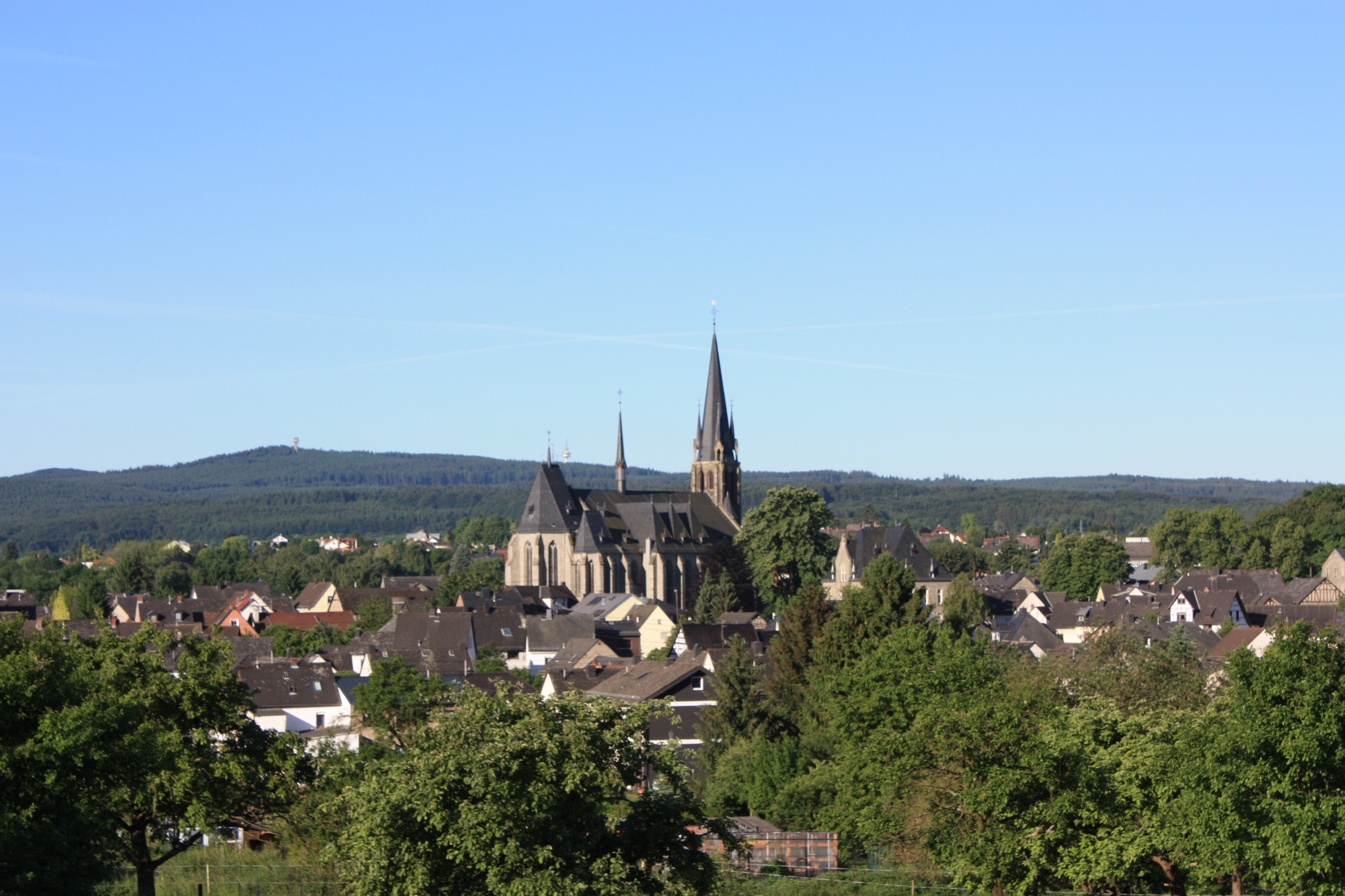 Blick auf den Westerwälder Dom