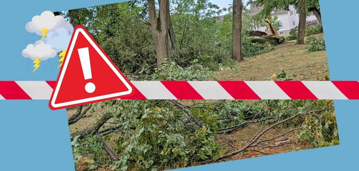 Social Media Vorlagen NEU 2026 (1380 x 657 px) - 4