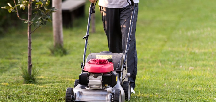 Lawnmower in action Lawnmower in action